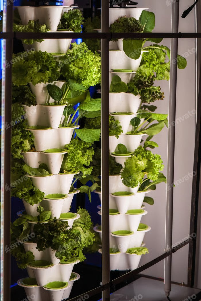 Smart Indoor Garden Systems